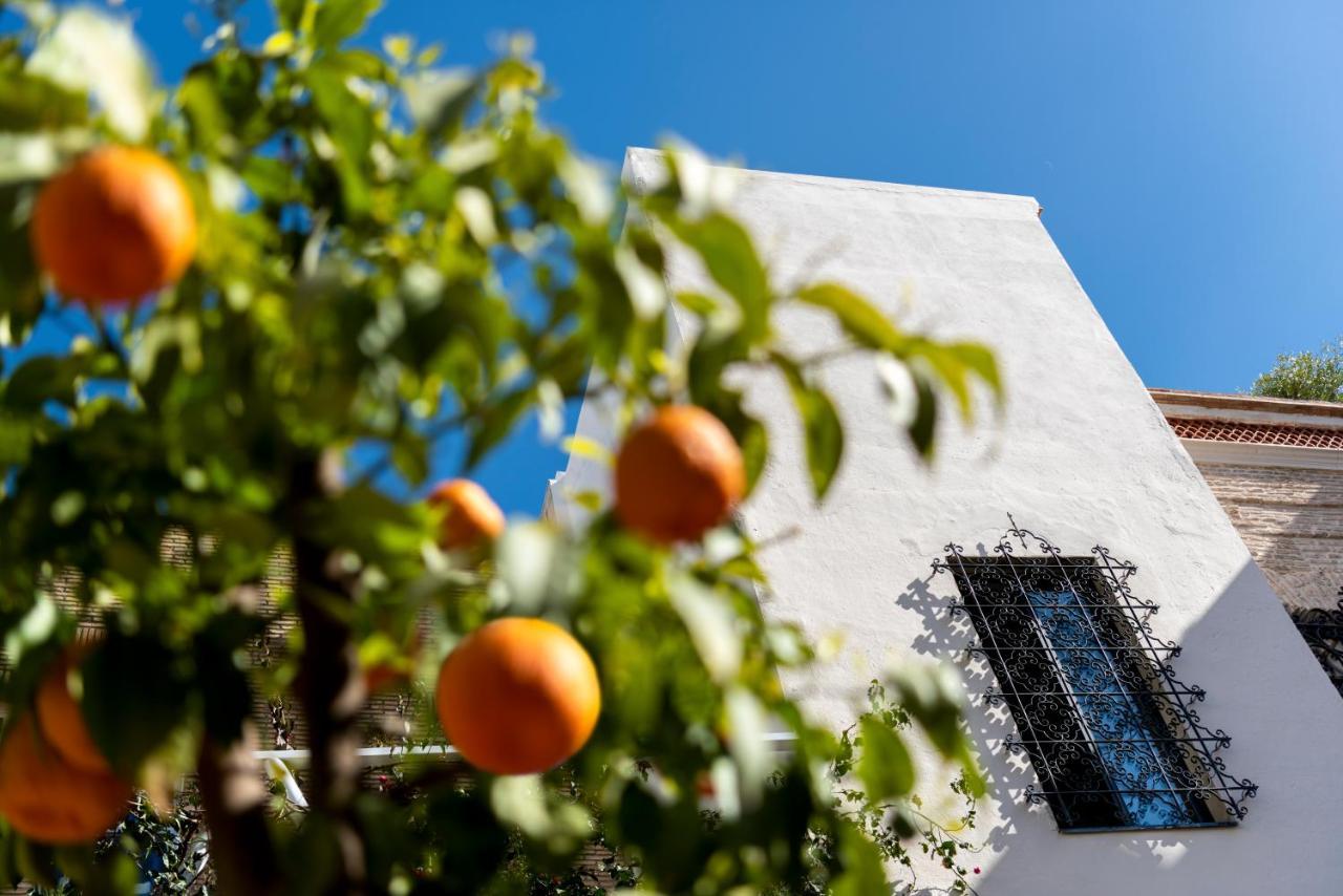 Bed and Breakfast Pájaro Rebelde Sevilla Exterior foto